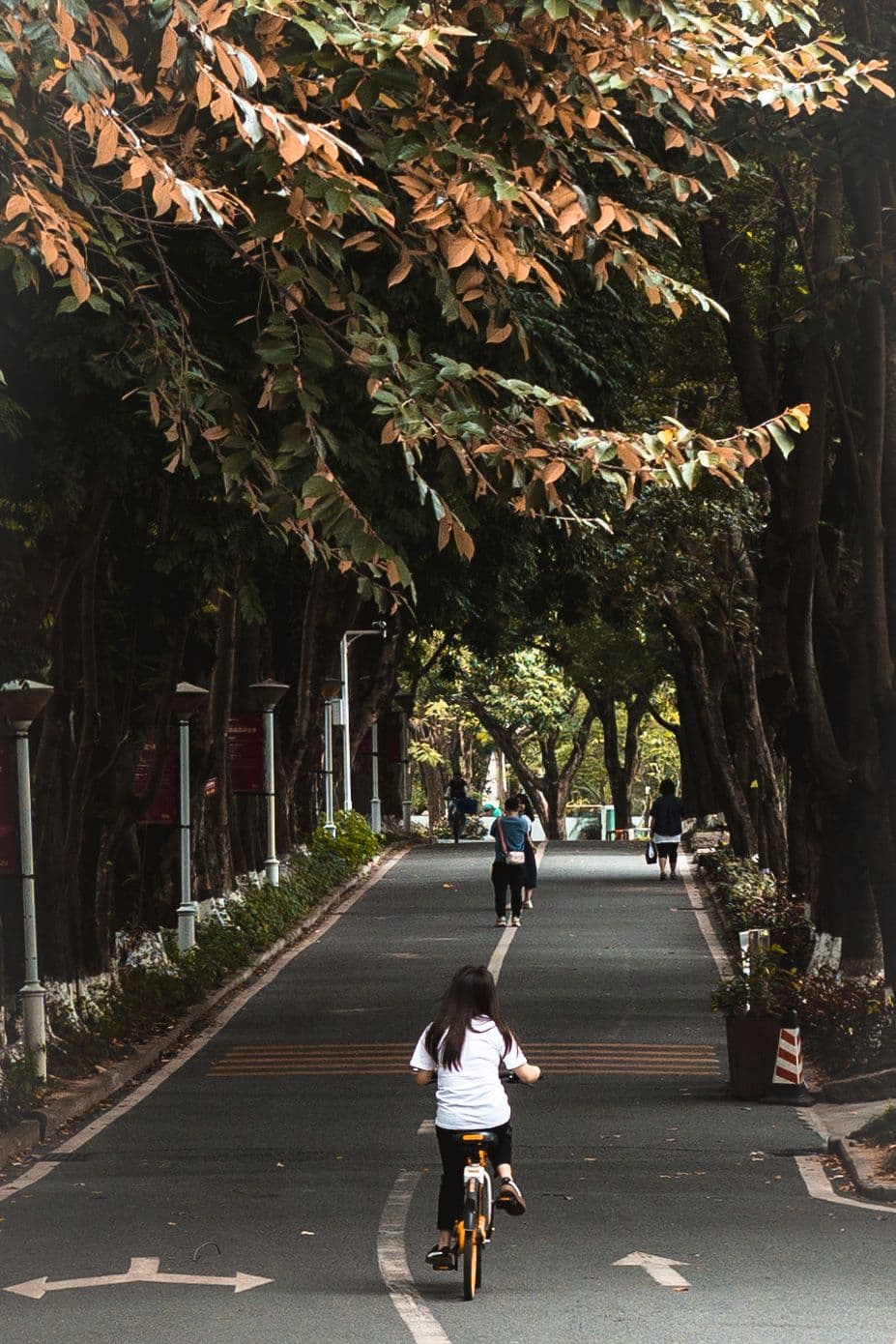 深圳大学校园一角